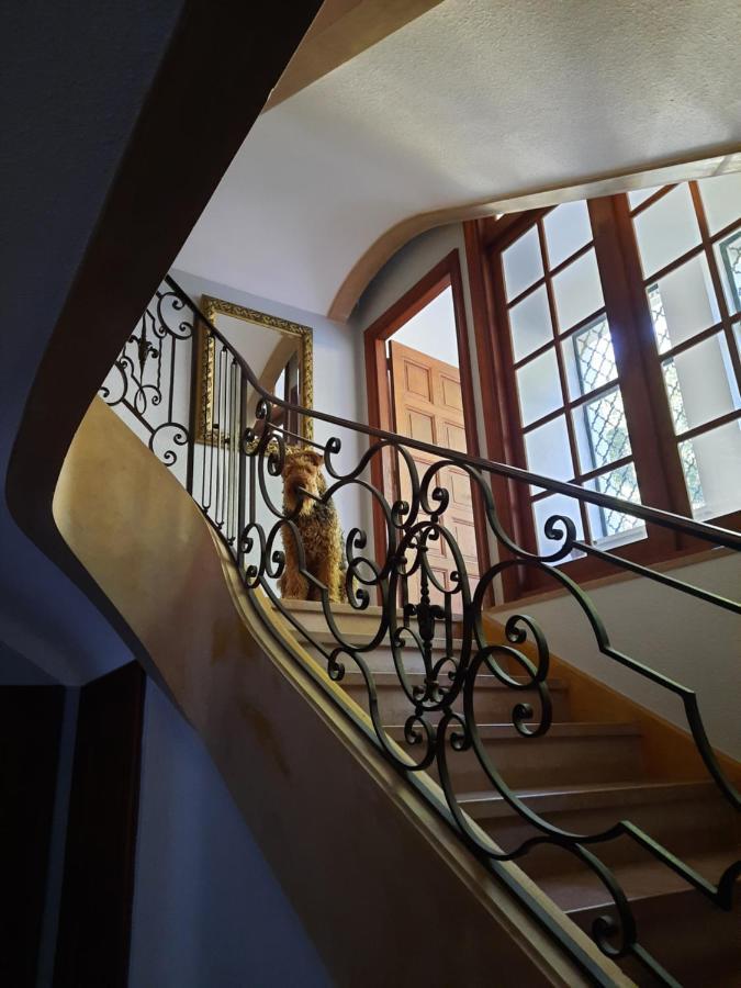 Le Clos Des Soyeux Saint-Victor-sur-Rhins Exterior foto